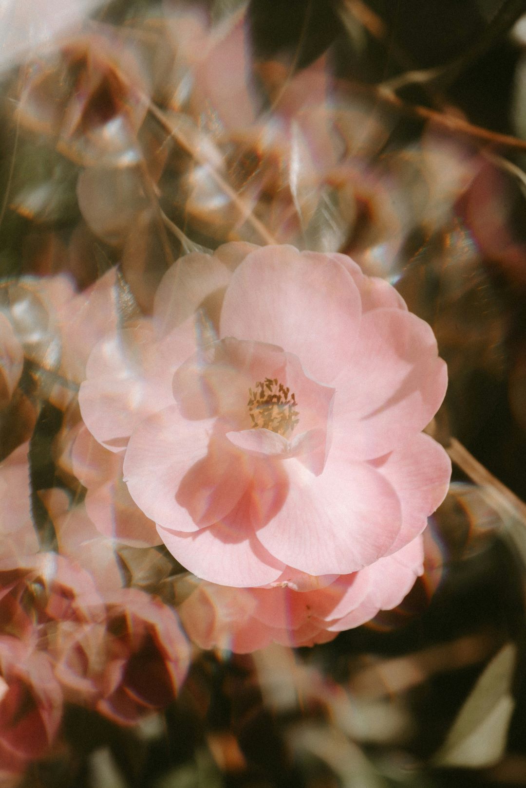 banner img